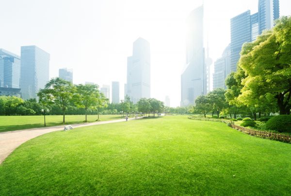 Commercial Landscape Maintenance in Saint Paul