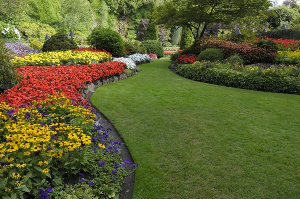 Landscaping Maintenance in Saint Paul