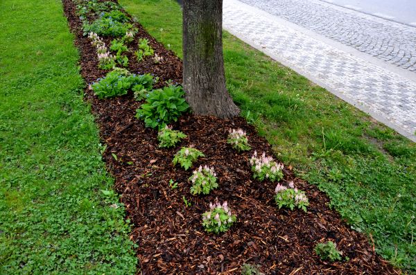 Mulch Replacement Service in Saint Paul