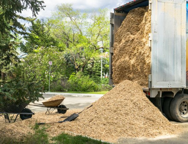 Wood Chips Delivery in Saint Paul
