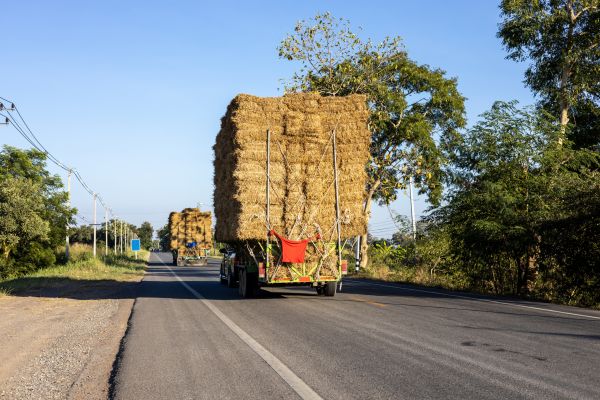Pine Straw Delivery in Saint Paul