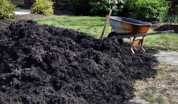 Black Mulch Delivery in Saint Paul