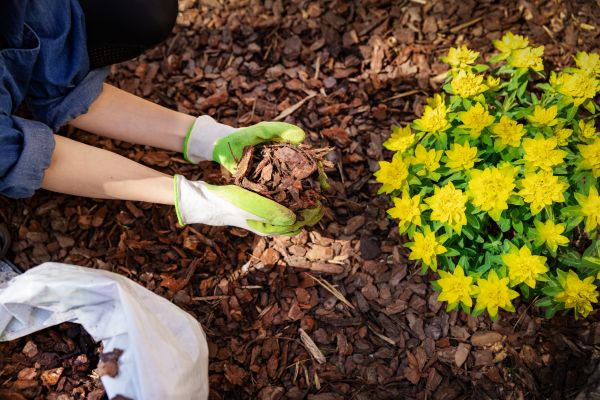 Garden Mulching in Saint Paul