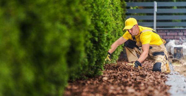 Cypress Mulch Installation in Saint Paul