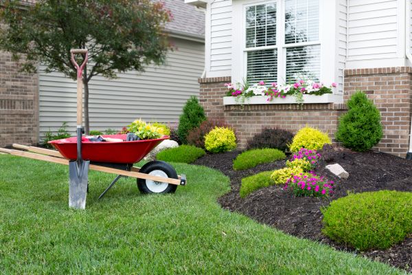 Tree And Shrub Planting in Saint Paul