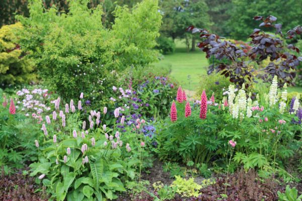 Flower Bed Planting in Saint Paul