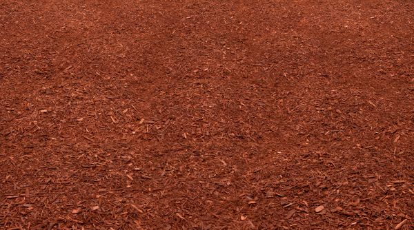 Red Mulch Delivery in Saint Paul