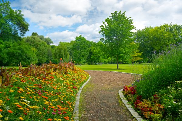 Park Landscaping in Saint Paul