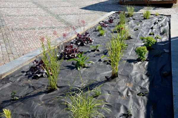 Landscape Fabric Installation in Saint Paul