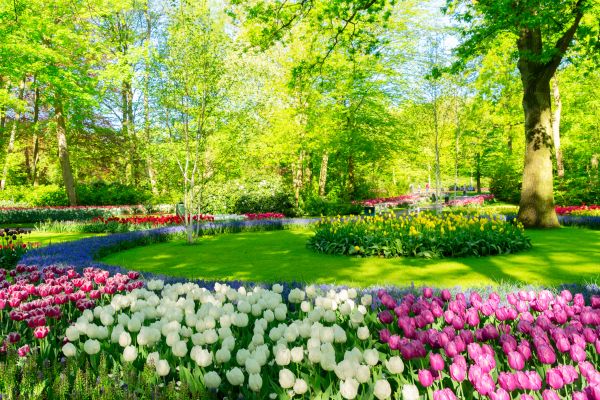 Flower Landscaping in Saint Paul
