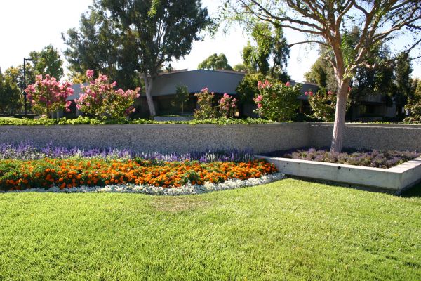 Commercial Landscape Service in Saint Paul