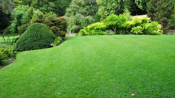 Commercial Landscape Design in Saint Paul
