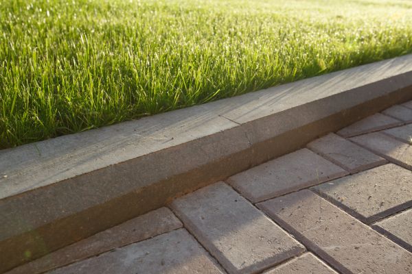 Lawn Edging Replacement in Saint Paul