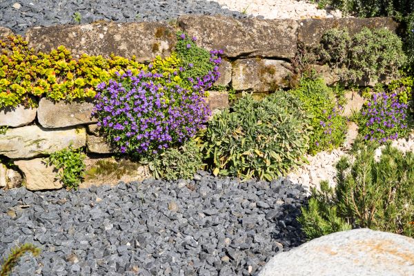 Landscaping Rocks Installation in Saint Paul