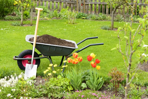 Spring Yard Renovation in Saint Paul