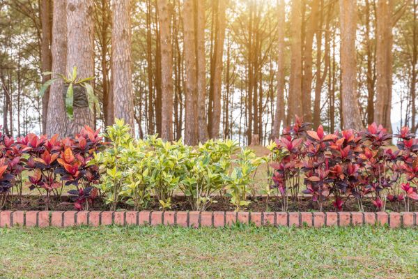 Small Garden Landscaping in Saint Paul