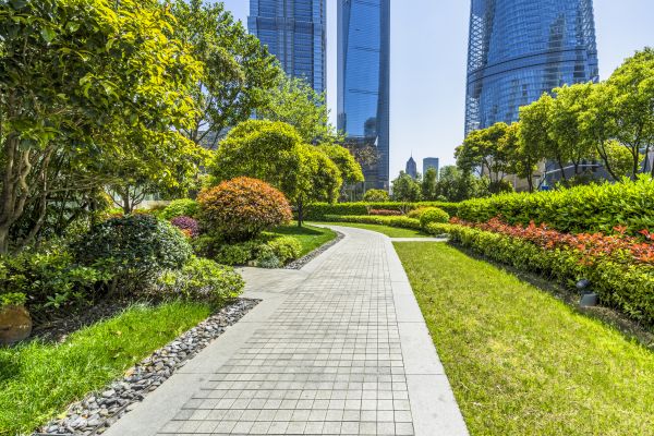 Commercial Landscaping in Saint Paul