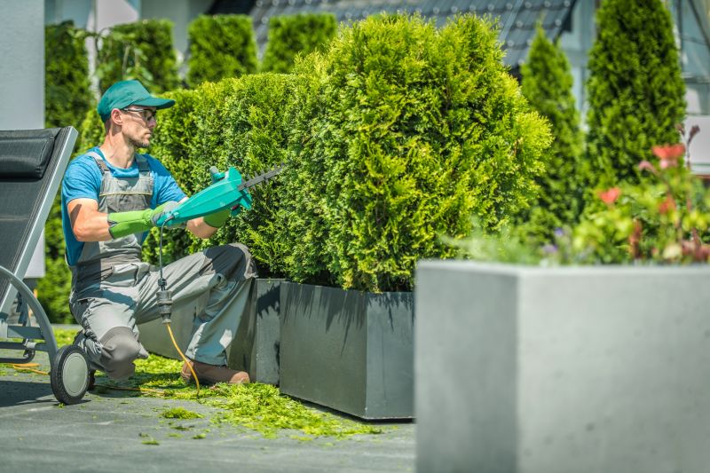 Shrub Care Service